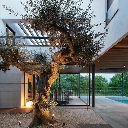 Beluga Tatil Evi *